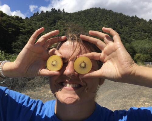 Kiwi (1)