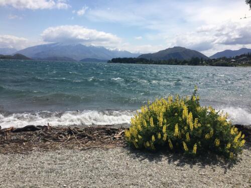 Lake Wanaka