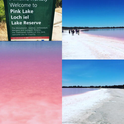 Pink Lake