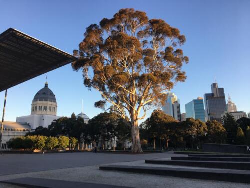 everything in one picture